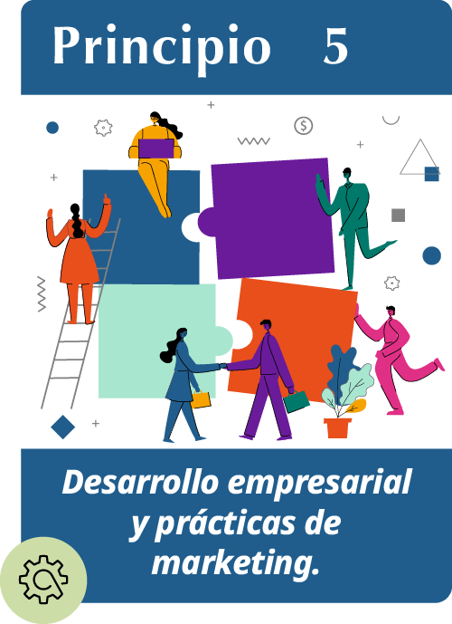Principio5