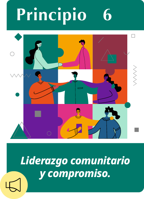 Principio6